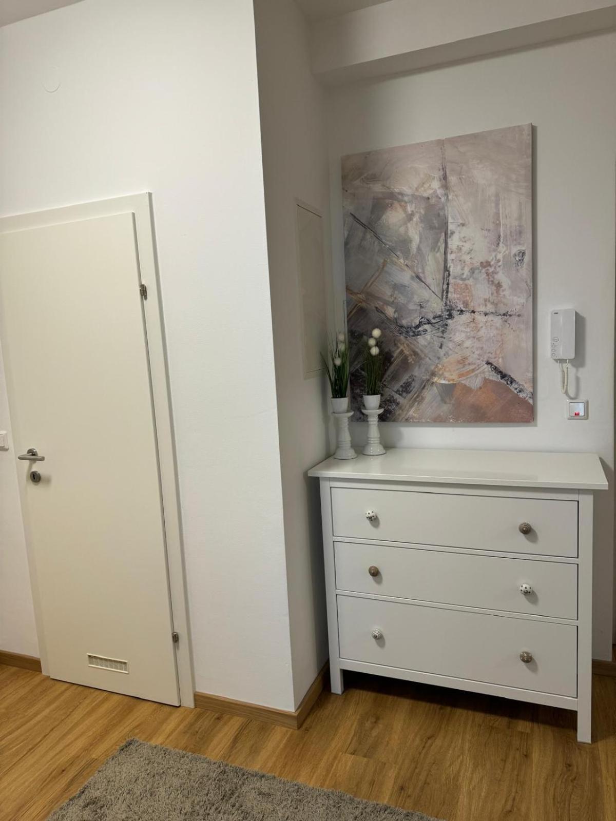Sunny And Elegant Apartament In Central Location Грац Екстериор снимка
